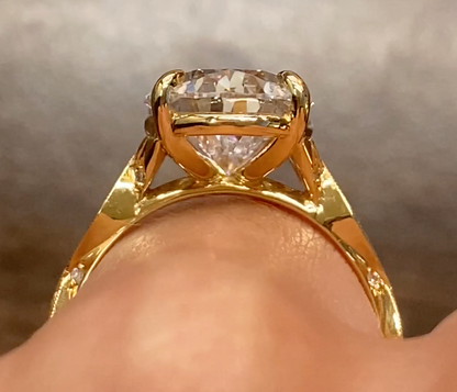 AA