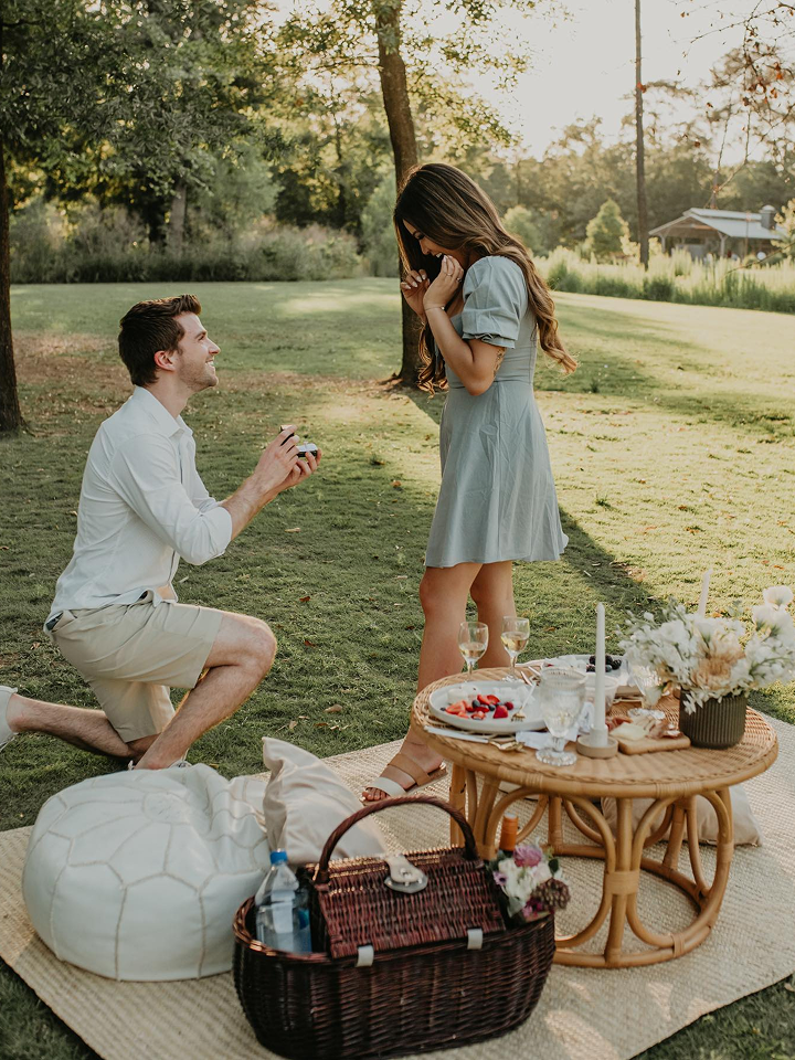 Picnic Proposals